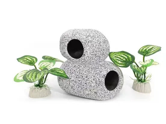 Aquarium  Plants