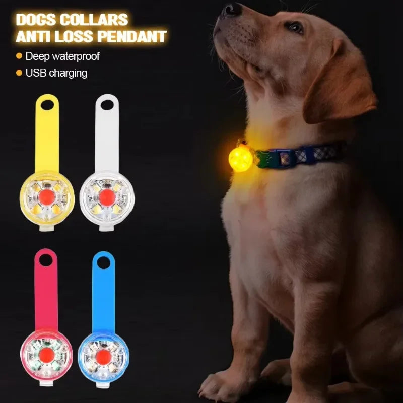 Dog collar LED