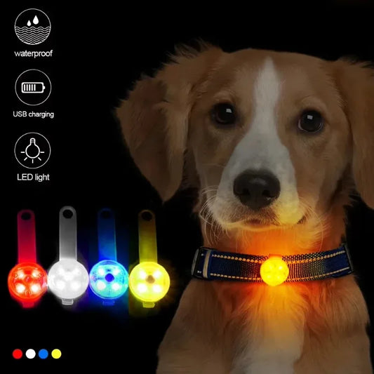Dog collar LED