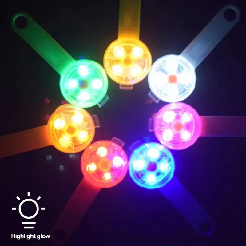 Dog collar LED