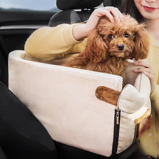 Car Basket