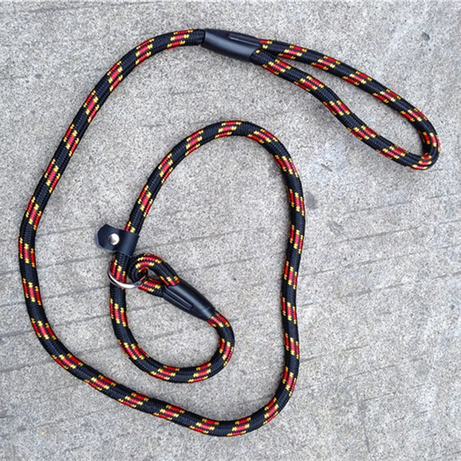 Dog Leash With Comfortable Padded Handle