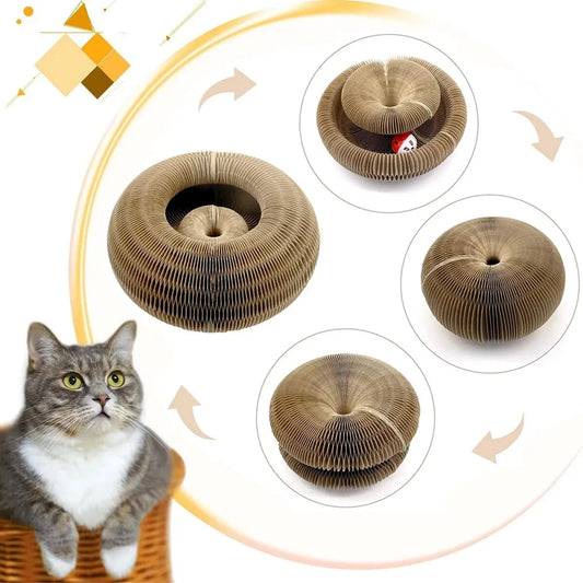 Magic Cat Scratcher & Toy