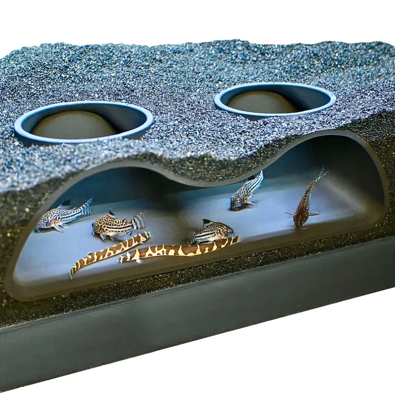 Benthic organisms, underground caves