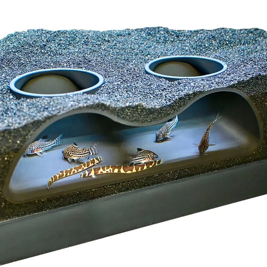 Benthic organisms, underground caves