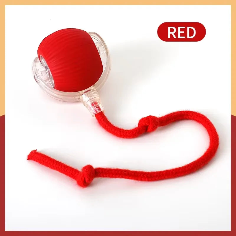 Cat toy ball