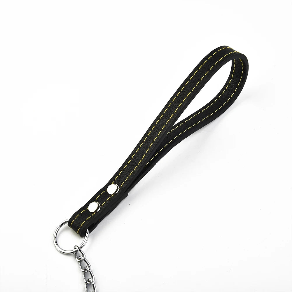 Leather Handle dog chain