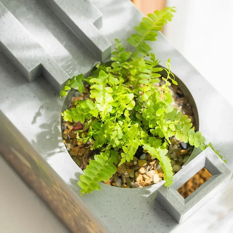 Small Aquarium with Built-in Oxygen Bar