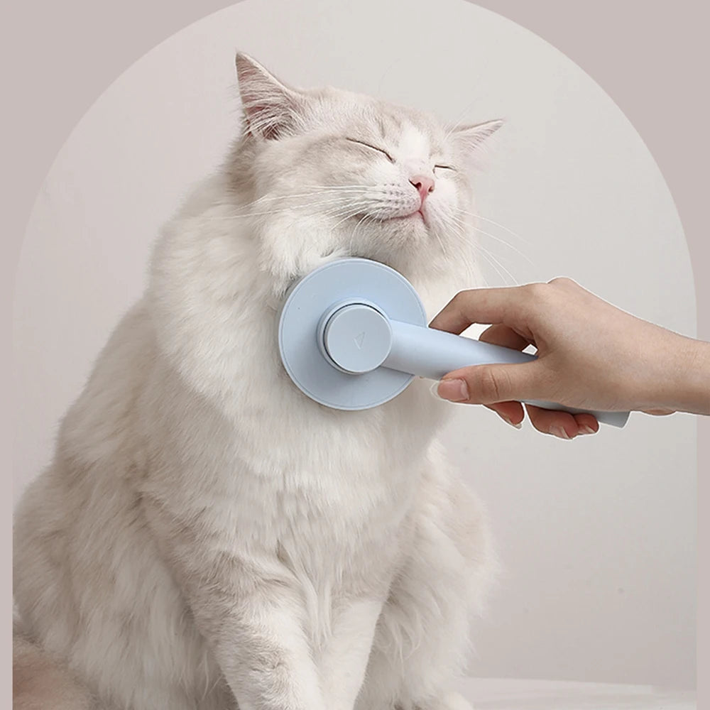 Pet Hair Removal Comb