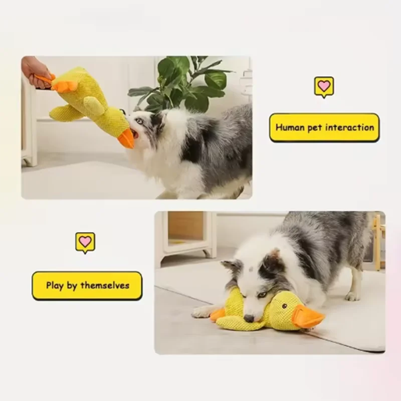 Stomping Duck