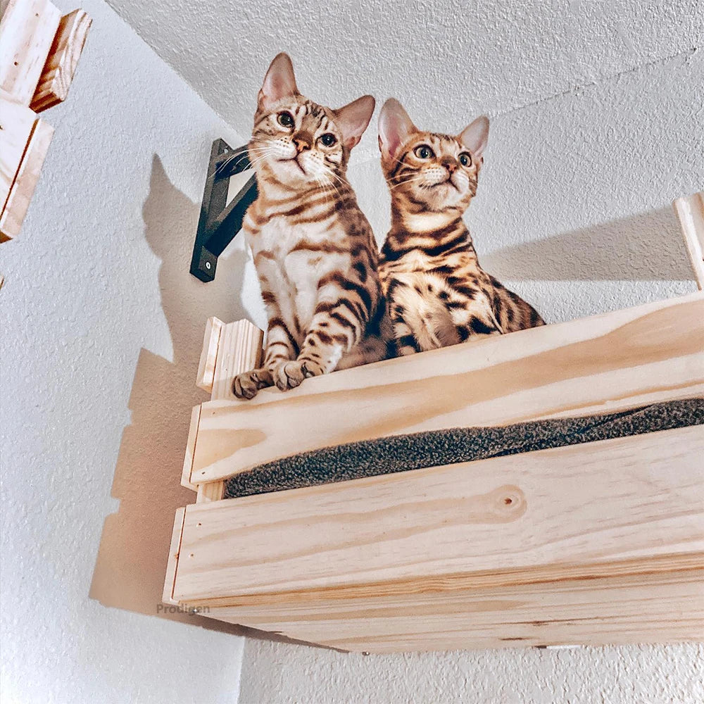 Wall Mounted Cat Tree