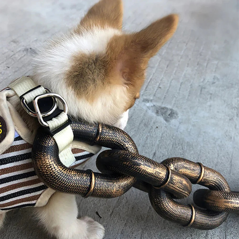 Chain Dog Leashes