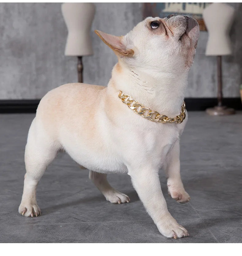 Collar for Small/Medium Dogs