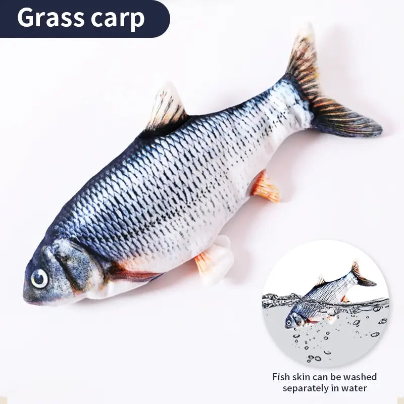 Floppy Fish