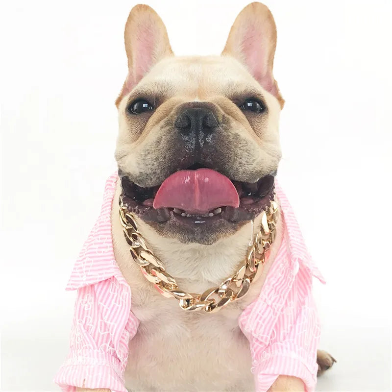 Collar for Small/Medium Dogs