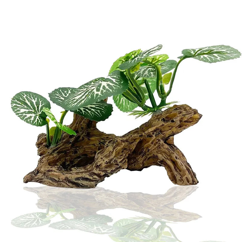 Aquarium  Plants