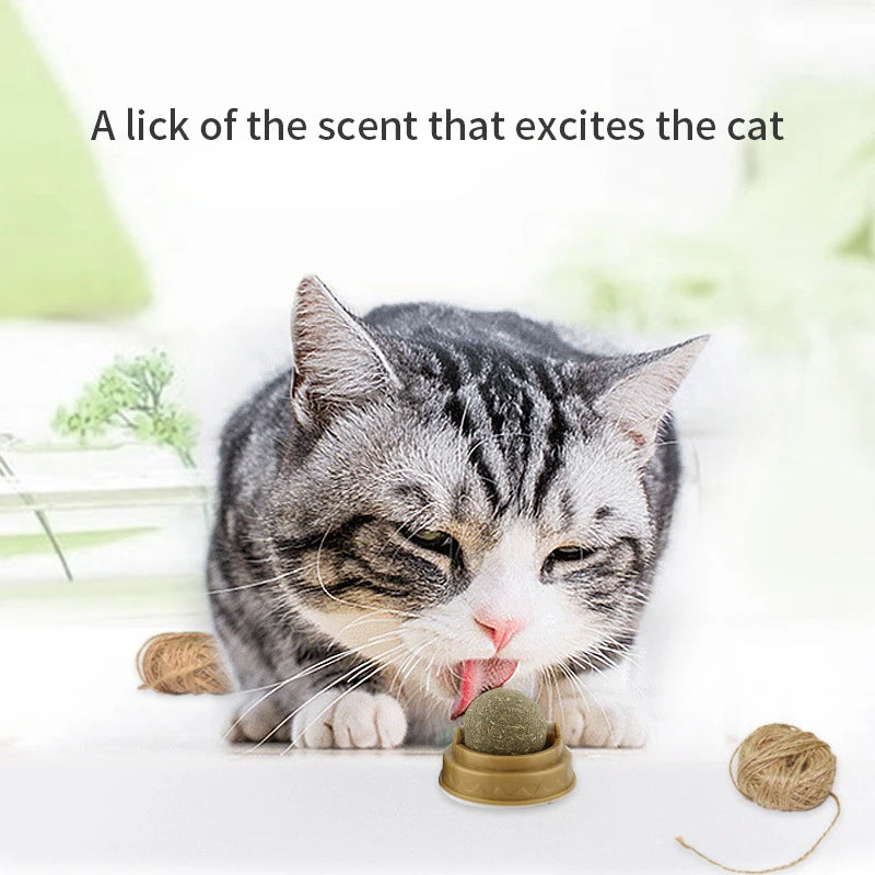Natural Catnip Stick-on Ball